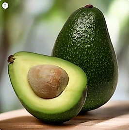 AVOKADO